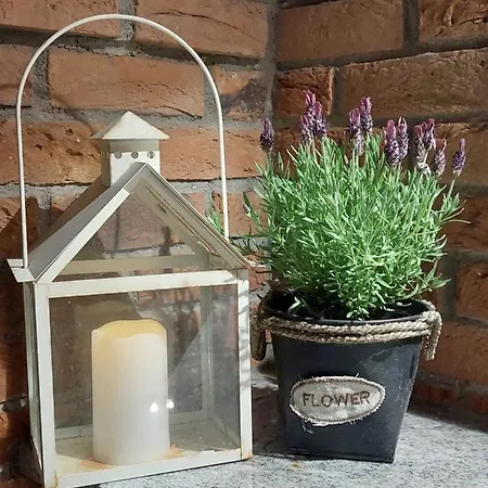 Dream Z Basenem I Jacuzzi 606-436-626 Poronin