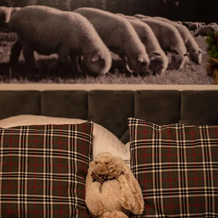 Dream Z Basenem I Jacuzzi 606-436-626 *