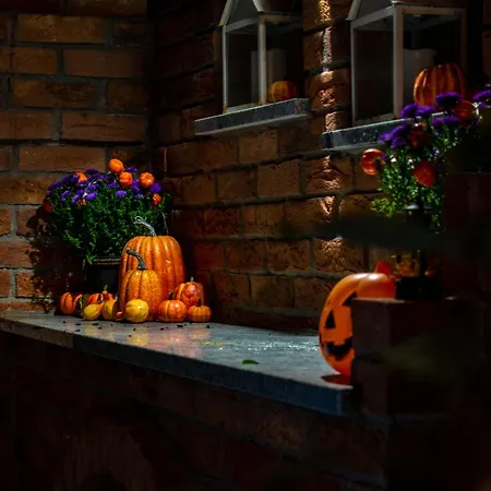 Dream Z Basenem I Jacuzzi 606-436-626 Dom wakacyjny *