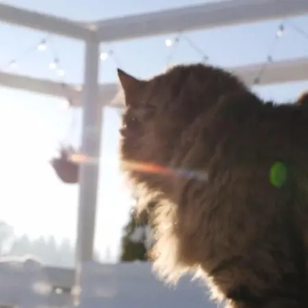 Dom wakacyjny Dream Z Basenem I Jacuzzi 606-436-626 *