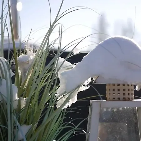 Dream Z Basenem I Jacuzzi 606-436-626