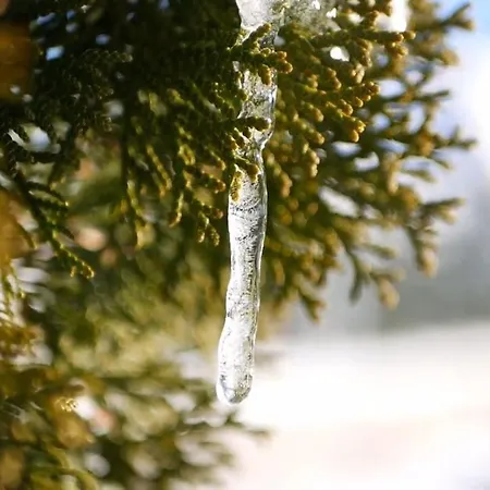 Dream Z Basenem I Jacuzzi 606-436-626