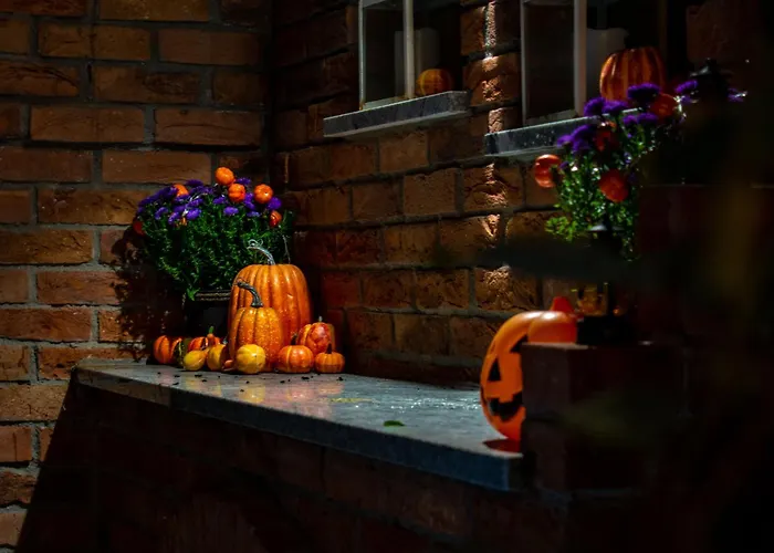 Dream Z Basenem I Jacuzzi 606-436-626 Сasa de vacaciones *